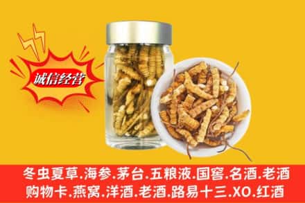 伊犁乌苏市回收散虫草