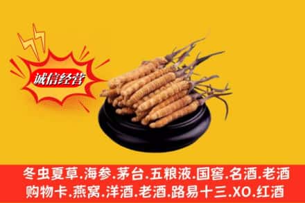 伊犁乌苏市名酒回收冬虫夏草.jpg